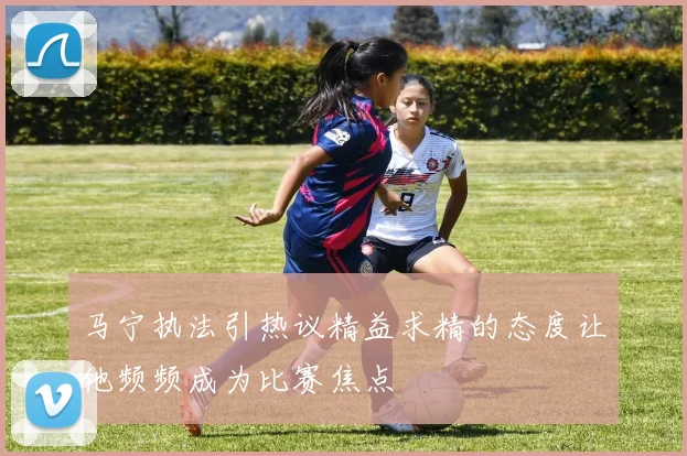 马宁执法引热议精益求精的态度让他频频成为比赛焦点
